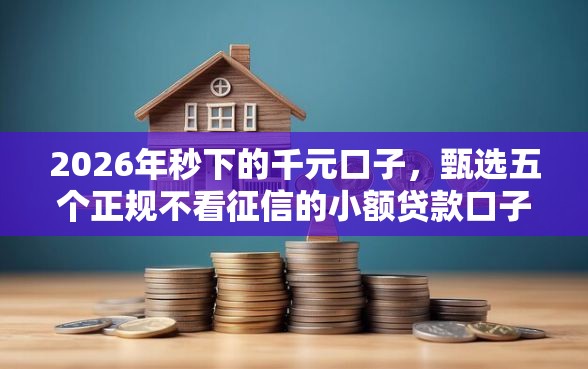 2026年秒下的千元口子，甄选五个正规不看征信的小额贷款口子