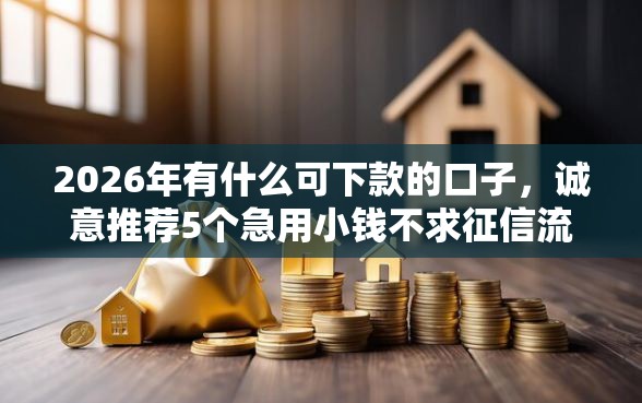 2026年有什么可下款的口子，诚意推荐5个急用小钱不求征信流水轻松贷的口子