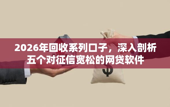 2026年回收系列口子，深入剖析五个对征信宽松的网贷软件