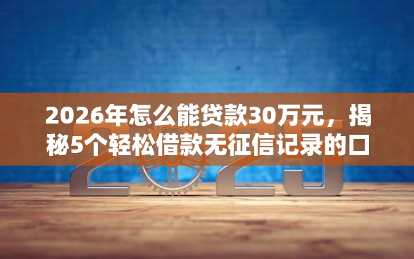 2026年怎么能贷款30万元，揭秘5个轻松借款无征信记录的口子
