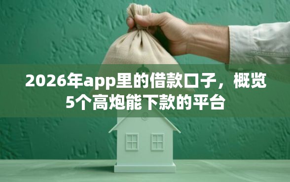 2026年app里的借款口子，概览5个高炮能下款的平台