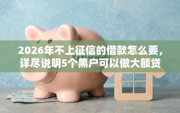 2026年不上征信的借款怎么要，详尽说明5个黑户可以做大额贷款平台