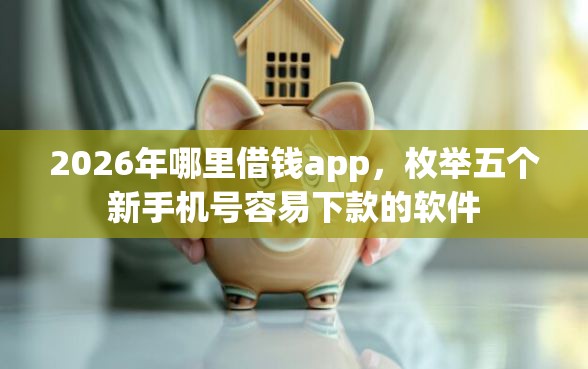 2026年哪里借钱app，枚举五个新手机号容易下款的软件