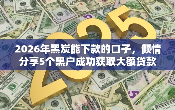 2026年黑炭能下款的口子，倾情分享5个黑户成功获取大额贷款的平台