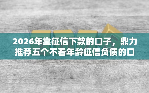 2026年靠征信下款的口子，鼎力推荐五个不看年龄征信负债的口子