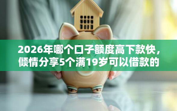 2026年哪个口子额度高下款快，倾情分享5个满19岁可以借款的口子