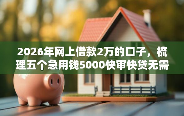 2026年网上借款2万的口子，梳理五个急用钱5000快审快贷无需征信平台
