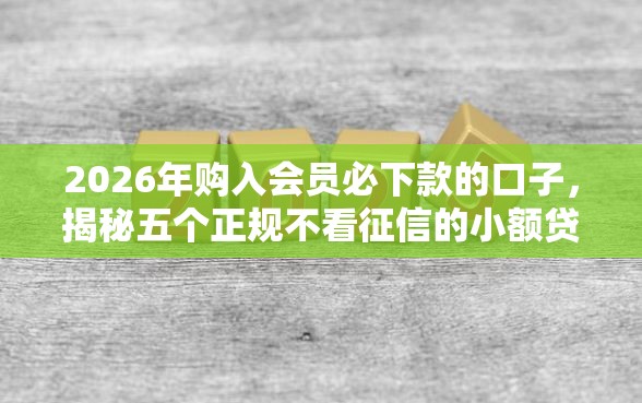 2026年购入会员必下款的口子，揭秘五个正规不看征信的小额贷款口子
