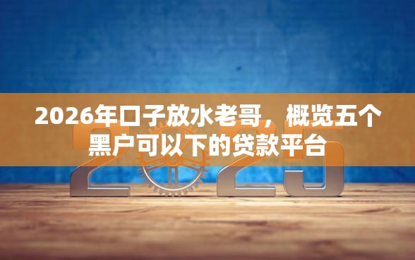 2026年口子放水老哥，概览五个黑户可以下的贷款平台