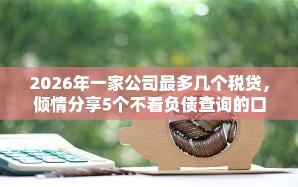 2026年一家公司最多几个税贷，倾情分享5个不看负债查询的口子