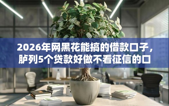 2026年网黑花能搞的借款口子，胪列5个贷款好做不看征信的口子