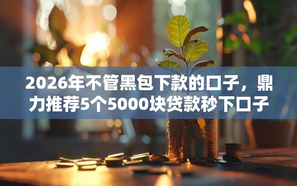 2026年不管黑包下款的口子，鼎力推荐5个5000块贷款秒下口子