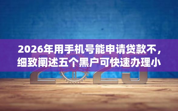 2026年用手机号能申请贷款不，细致阐述五个黑户可快速办理小额贷款业务的app