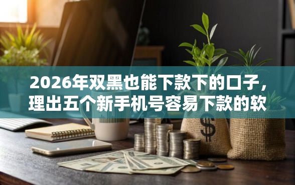 2026年双黑也能下款下的口子，理出五个新手机号容易下款的软件