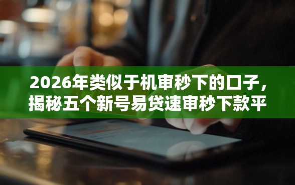 2026年类似于机审秒下的口子，揭秘五个新号易贷速审秒下款平台
