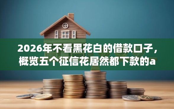2026年不看黑花白的借款口子，概览五个征信花居然都下款的app
