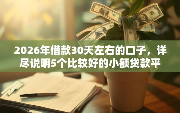 2026年借款30天左右的口子，详尽说明5个比较好的小额贷款平台