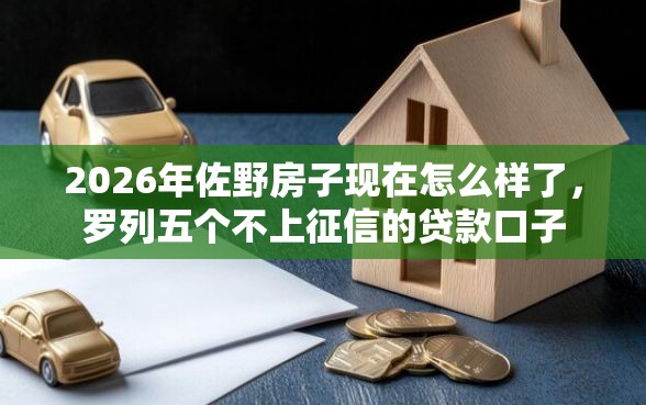 2026年佐野房子现在怎么样了,罗列五个不上征信的贷款口子 2026年佐野房子现在怎么样了,罗列五个不上征信的贷款口子