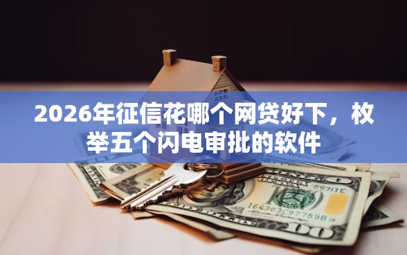 2026年征信花哪个网贷好下，枚举五个闪电审批的软件