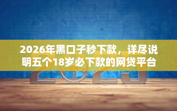2026年黑口子秒下款，详尽说明五个18岁必下款的网贷平台