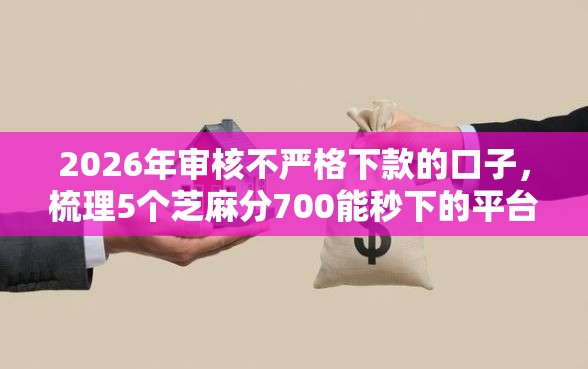 2026年审核不严格下款的口子，梳理5个芝麻分700能秒下的平台