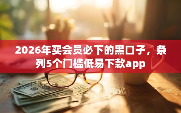 2026年买会员必下的黑口子，条列5个门槛低易下款app