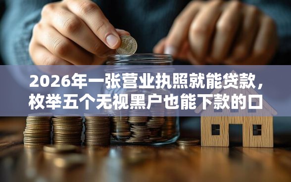 2026年一张营业执照就能贷款，枚举五个无视黑户也能下款的口子