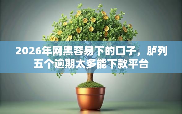 2026年网黑容易下的口子，胪列五个逾期太多能下款平台