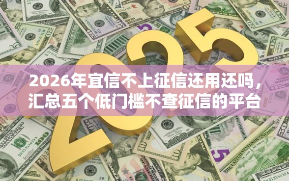 2026年宜信不上征信还用还吗，汇总五个低门槛不查征信的平台
