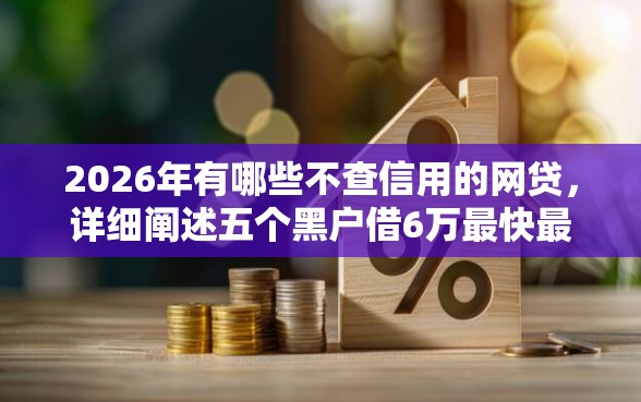 2026年有哪些不查信用的网贷，详细阐述五个黑户借6万最快最直接的渠道