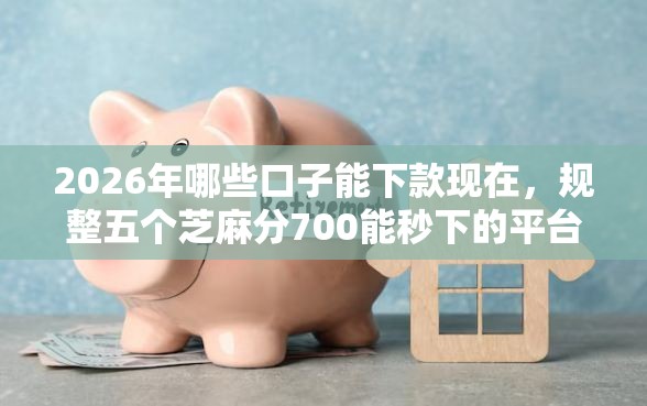 2026年哪些口子能下款现在，规整五个芝麻分700能秒下的平台