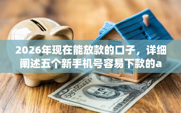 2026年现在能放款的口子，详细阐述五个新手机号容易下款的app