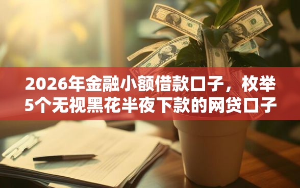 2026年金融小额借款口子，枚举5个无视黑花半夜下款的网贷口子