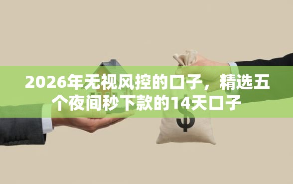 2026年无视风控的口子，精选五个夜间秒下款的14天口子