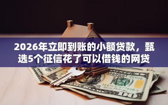 2026年立即到账的小额贷款，甄选5个征信花了可以借钱的网贷软件