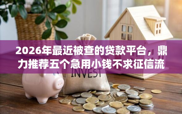 2026年最近被查的贷款平台，鼎力推荐五个急用小钱不求征信流水轻松贷的app