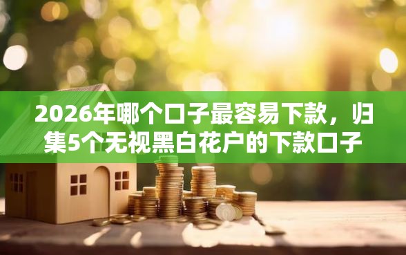 2026年哪个口子最容易下款,归集5个无视黑白花户的下款口子 2026年哪个口子最容易下款,归集5个无视黑白花户的下款口子