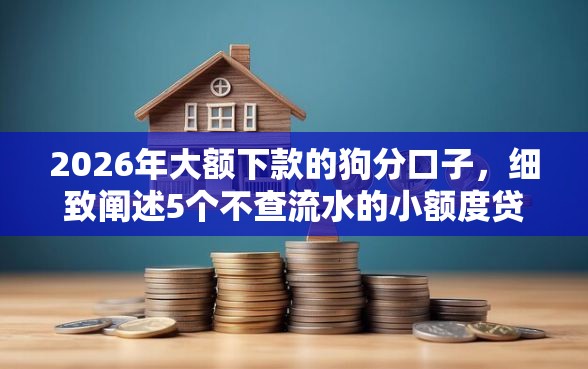 2026年大额下款的狗分口子，细致阐述5个不查流水的小额度贷款软件