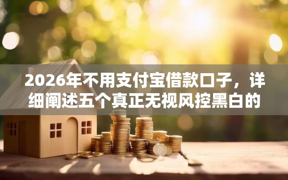 2026年不用支付宝借款口子，详细阐述五个真正无视风控黑白的网贷口子