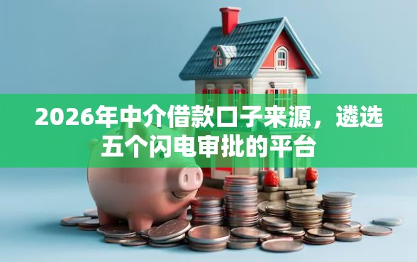 2026年中介借款口子来源，遴选五个闪电审批的平台
