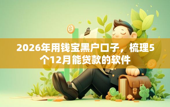 2026年用钱宝黑户口子，梳理5个12月能贷款的软件
