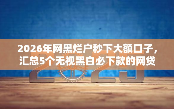 2026年网黑烂户秒下大额口子，汇总5个无视黑白必下款的网贷平台