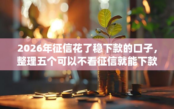 2026年征信花了稳下款的口子，整理五个可以不看征信就能下款的app