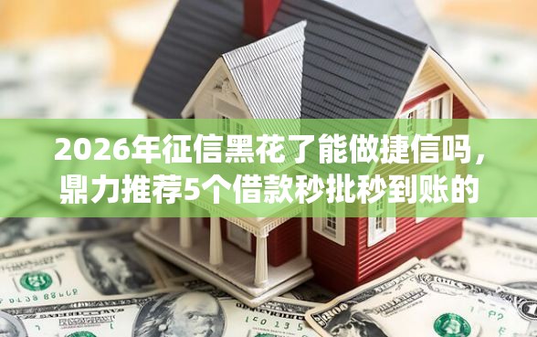 2026年征信黑花了能做捷信吗，鼎力推荐5个借款秒批秒到账的app