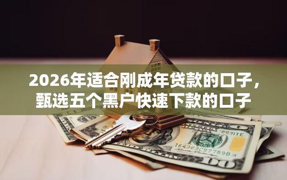2026年适合刚成年贷款的口子，甄选五个黑户快速下款的口子