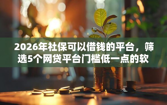 2026年社保可以借钱的平台，筛选5个网贷平台门槛低一点的软件