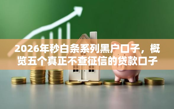 2026年秒白条系列黑户口子，概览五个真正不查征信的贷款口子