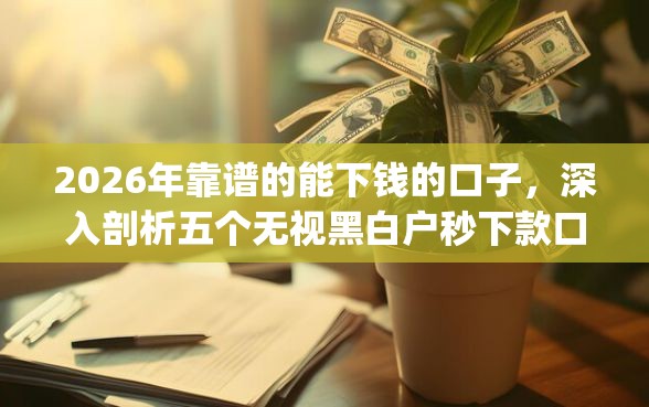 2026年靠谱的能下钱的口子，深入剖析五个无视黑白户秒下款口子app