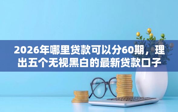 2026年哪里贷款可以分60期,理出五个无视黑白的最新贷款口子 2026年哪里贷款可以分60期,理出五个无视黑白的最新贷款口子