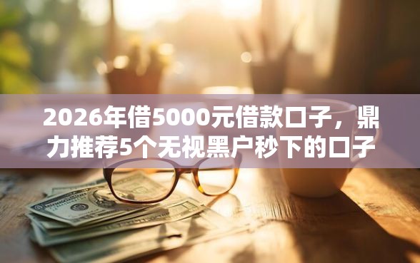 2026年借5000元借款口子，鼎力推荐5个无视黑户秒下的口子